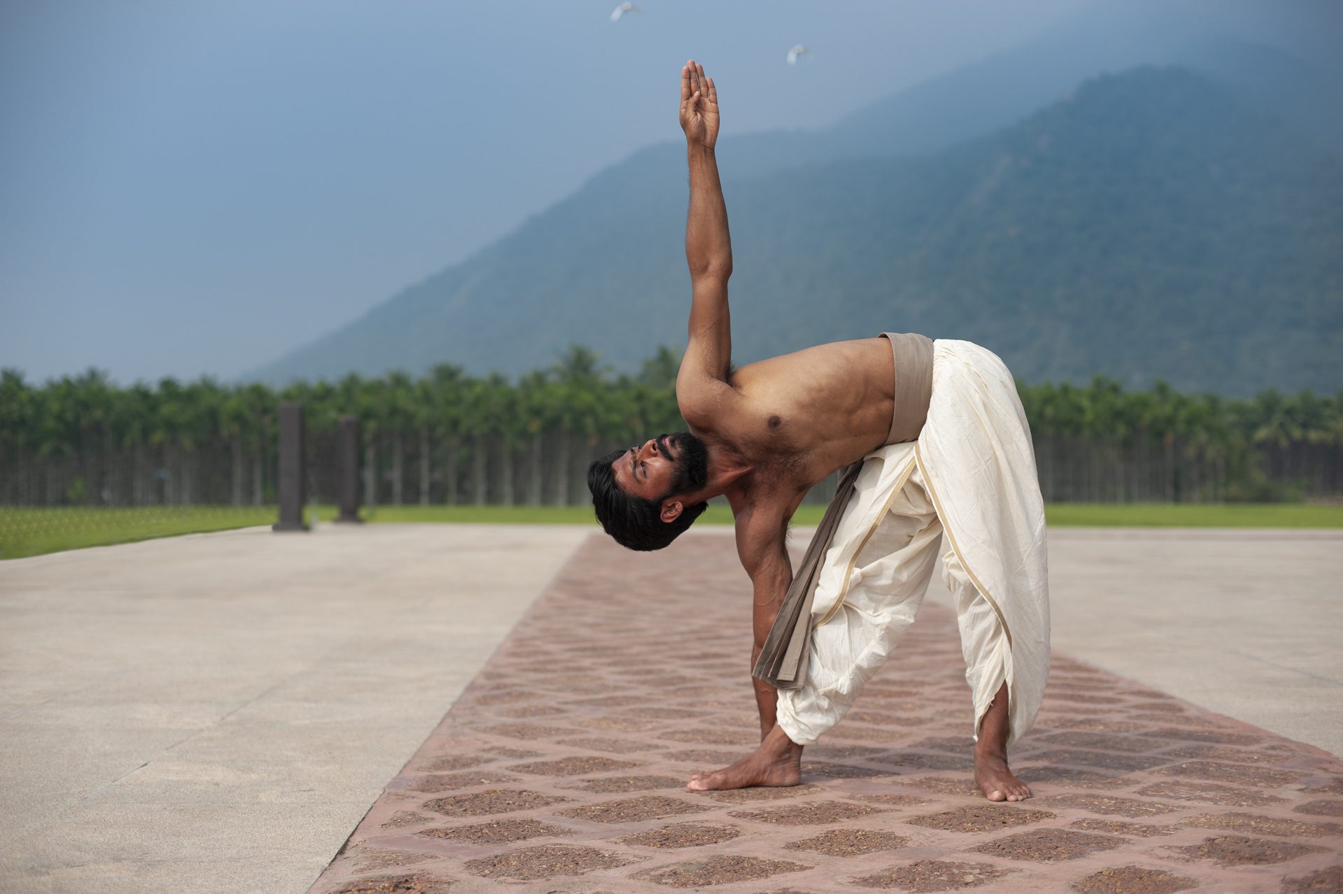 Practicantes haciendo una practica de Hatha Yoga Clásico Sadhguru Barcelona (Yogasanas)